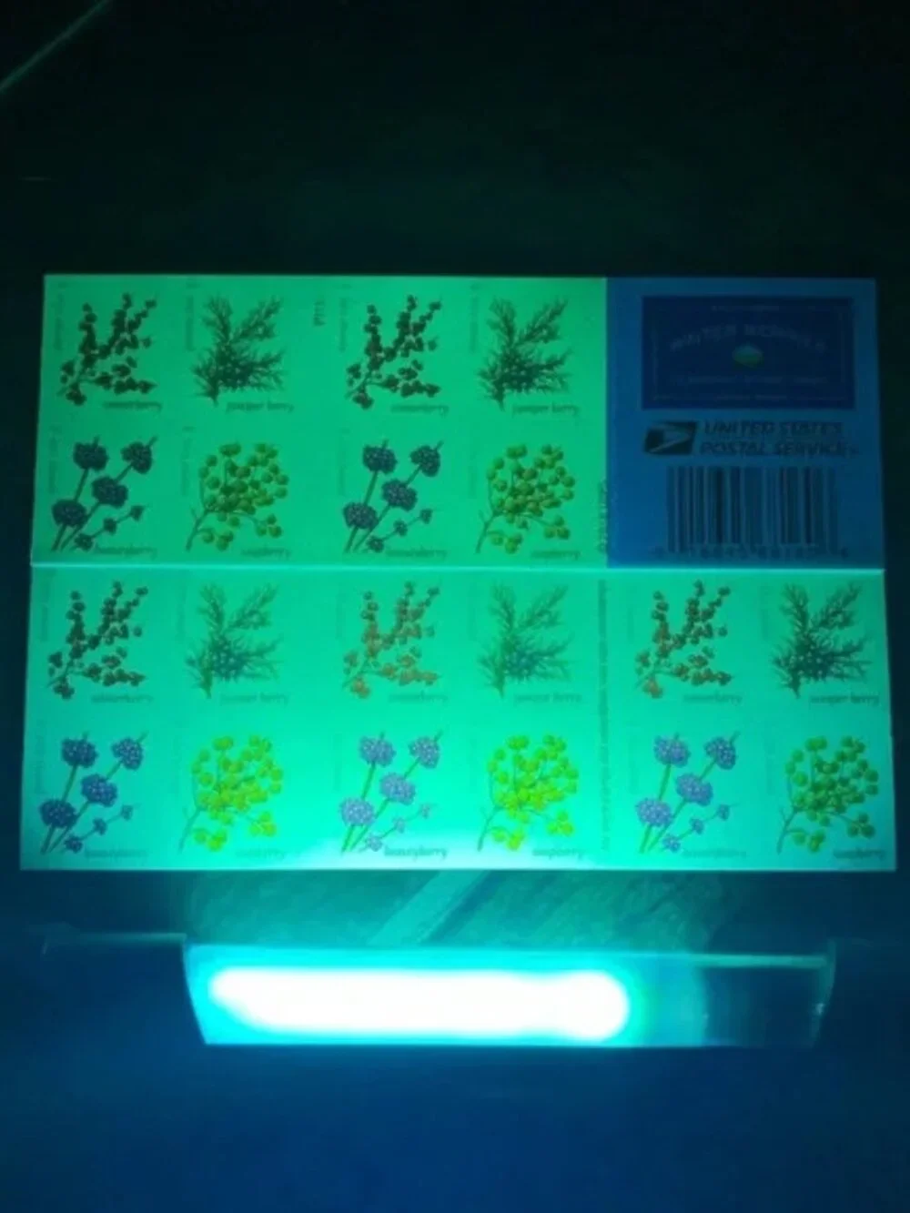 6000 Winter Berries US Postage Forever Stamps